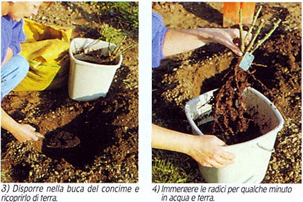 consigli_rosai02 consigli_rosai02